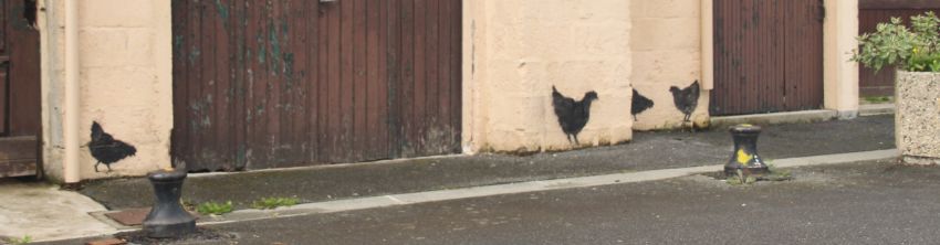 Hühner-Graffitti in Portsall