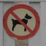 Hundeverbotsschild mit Hundesilhouette, die aussieht wie ein Dackel