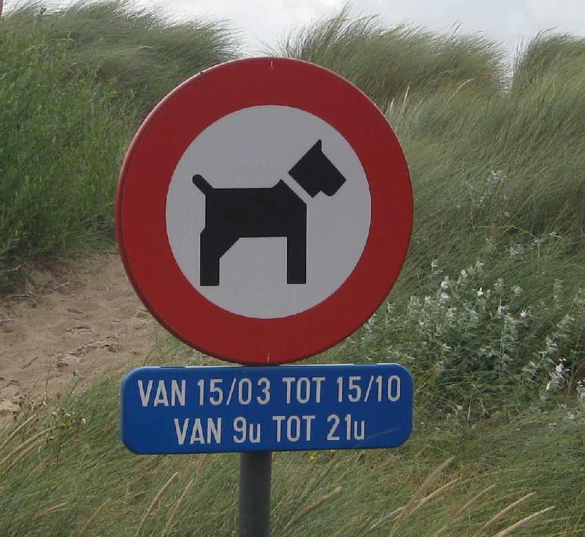 Schild, das ein Hundeverbot am Strand von Knokke-Heist ausweist